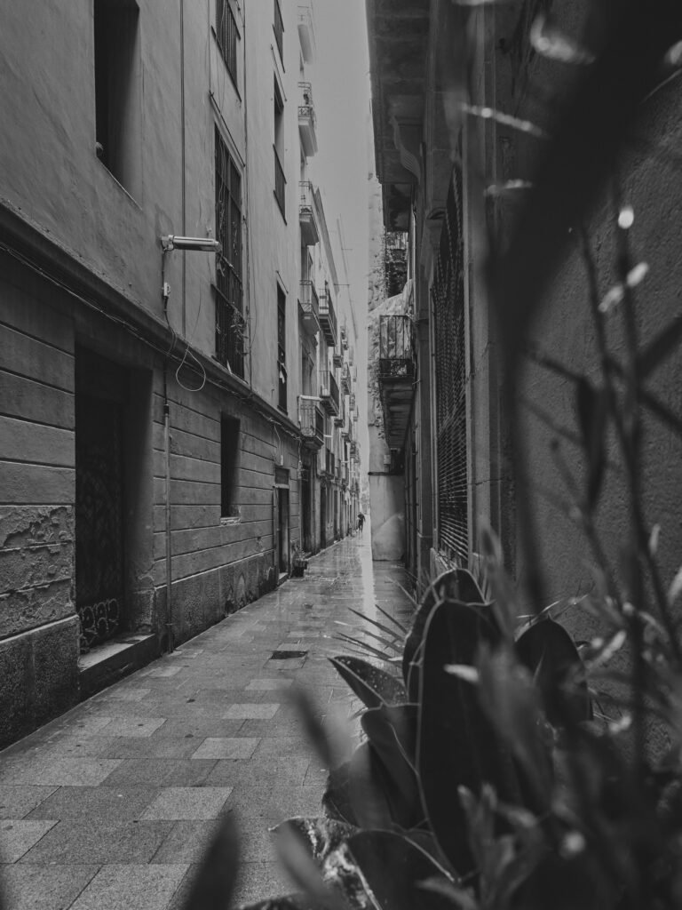 Portrait en lumière naturelle Barcelone - Romain Menut photographe